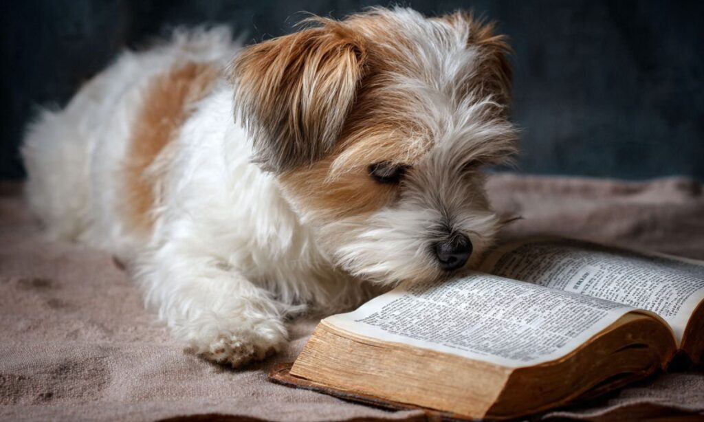 bible-verses-for-dog-lovers