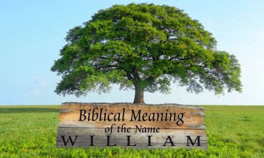 Biblical-meaning-of-the-name-william