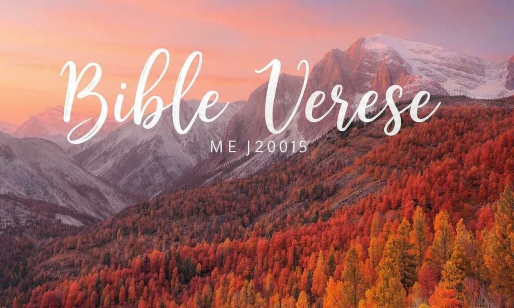 why-aesthetic-bible-wallpapers-are-more-than-just-decoration